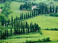 pic for 480x360 Scenery Near Orvieto Umbria Italy